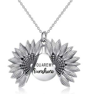 Silver You Are My Sunshine Necklace/Earring Set